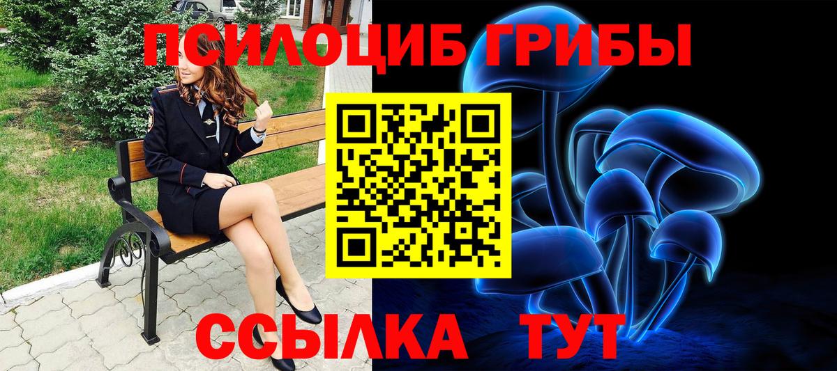 Волгоград  Галлюциногенные грибы мицелий  Вход с VPN 